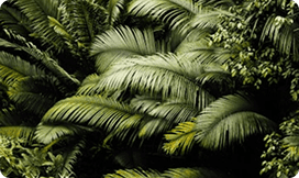 Planning Masterclass