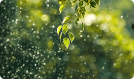 Planning Masterclass